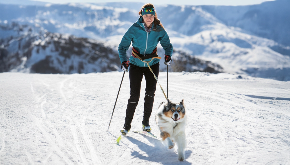 woman-skiing-with-dog-1200x683.webp