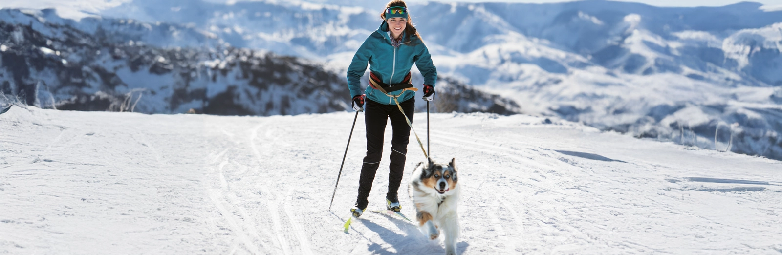 woman-skiing-with-dog-1600x522.webp